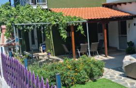 Olivendra Thassos - Photo 3