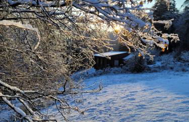Ty Golchi - Cosy traditional cottage in Corris - Photo 24