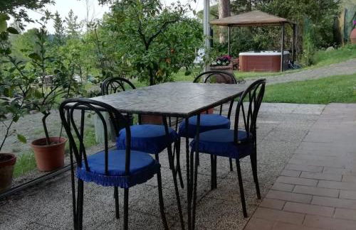 La Cantinetta di Barberino - Foto 15