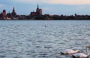 Apartment 10 in Altefähr am Strelasund - Foto 8