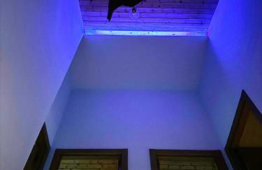 A Casa de Carmen - Foto 22