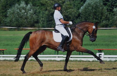 Ferienwohnung Kaim - Foto 19