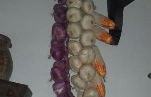 Casa Elina Lucena - Foto 63