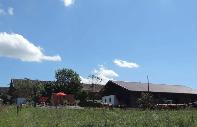 Ferienparadies Reifnhof - Foto 1