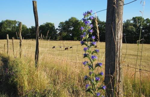 Gut Pälitzhof - Foto 3