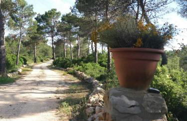 Case de Campo "El Caroche" Alojamientos, Retiros y Eventos - Foto 49