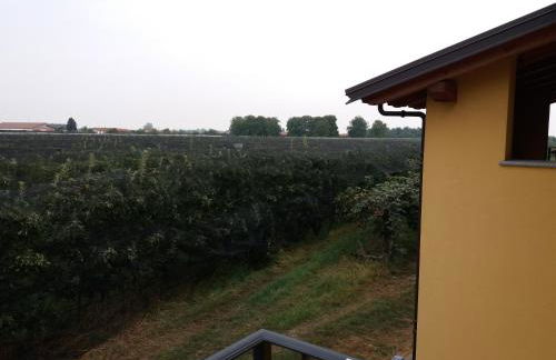 Agriturismo Fior Di Campo - Foto 55