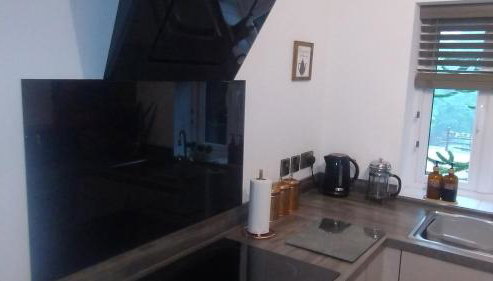 The Willow (Alton Towers, Animals, Peak District) - Foto 4