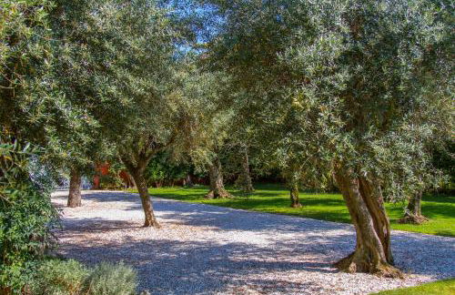 Case Rosse Suite - Foto 21