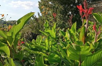 Holiday Villa in Sabina with Private Pool - Foto 44