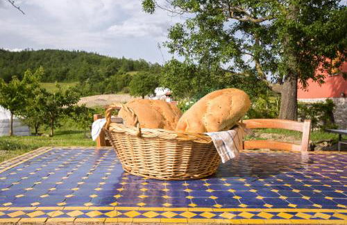 Società Agricola Cacigolara - Photo 105