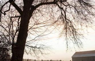 The Heritage House - Foto 32