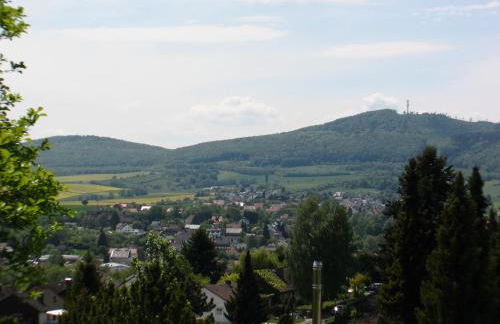 Ferienwohnung in Waldrandlage - Foto 21