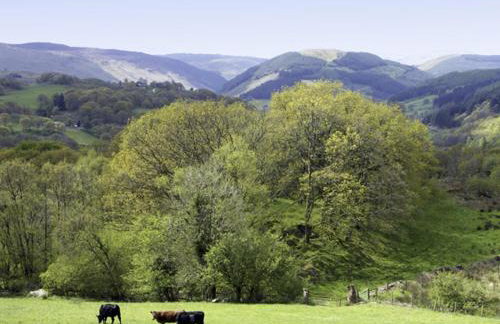 Ty Isaf Penrhyddion - Foto 11