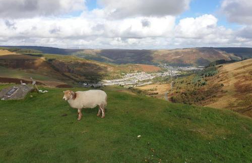 Welsh Miners Cottage Four Bedroom House - Foto 34