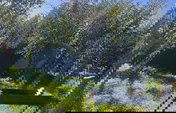 Hidden Garden Resort - Photo 29