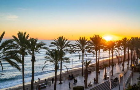 Malaga Cozy House- Nature - Photo 2