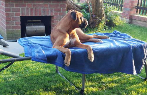 Ferienhaus Nebra "Zur Dorfkirche" - Foto 31