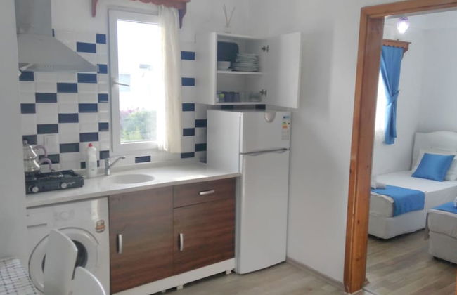 Apart Turgutreis - Photo 24