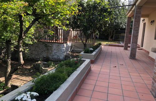 Carrubo - Giardino in città - Foto 25