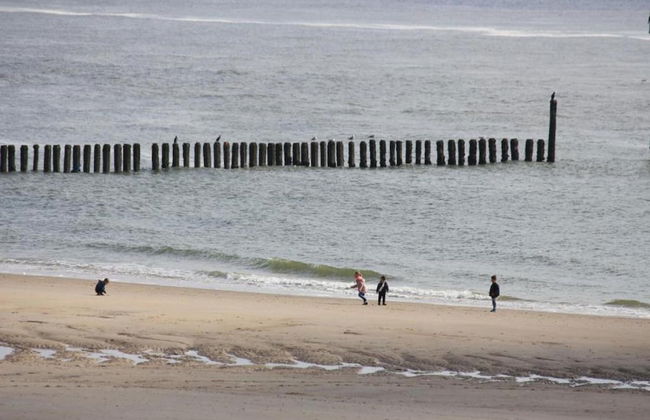 Holiday Home With sun Terrace Facing South-pet-friendly - Photo 66