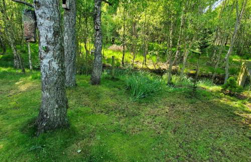 Aviemore Bungalow, Dalfaber - Foto 10