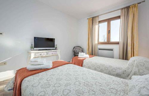 Holiday home in Visnjan - Istrien 46927 - Photo 4