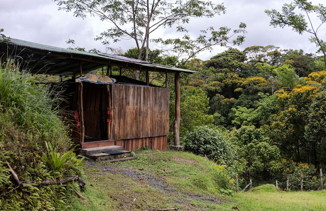 La Finca Azul - Foto 19