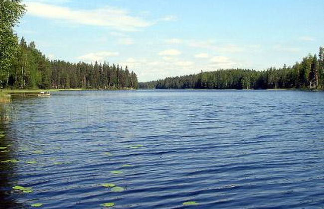 Villa helmi - Foto 8