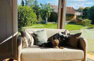 Kuća Šuma - Foto 25