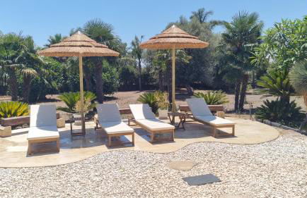 villa Bismarkia - Photo 39