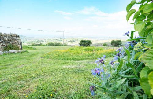 Bwthyn-Plas-Hafod - Photo 38