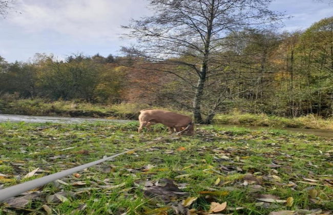 Charming Holiday Home With Private Pool - Foto 40