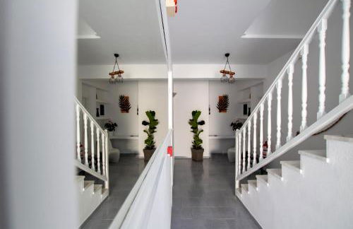 Alloro Perissa - Foto 13