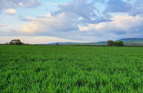 East View Cottage iow - Foto 21