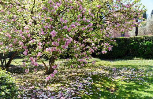 L'Orangerie di Villa Mayer - MyHomeInComo - Foto 73