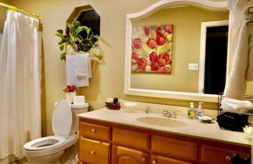 Massive lakefront home with HOT TUB - Foto 9