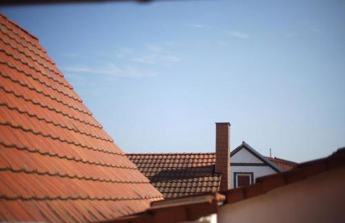 Buntspecht - Foto 15