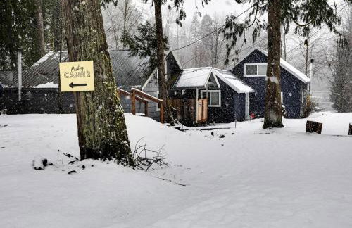 Riverbend Cabin 1 - Lolo Bungalow - Foto 46