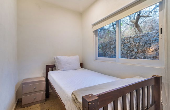 Bosque Geométrico - Foto 7