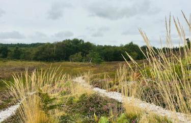 The Hollies, Dorset - Foto 39