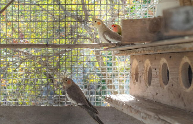 Trullo Paan in Ostuni - Foto 29