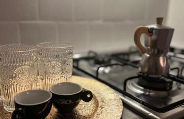 Teps home Airport Venice - Photo 11