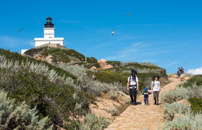 Croisière dans les îles Sanguinaires - Photo 3
