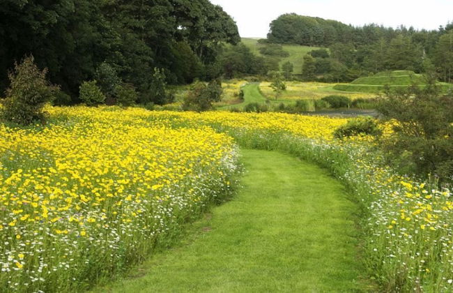 Orroland Lodge - Foto 42