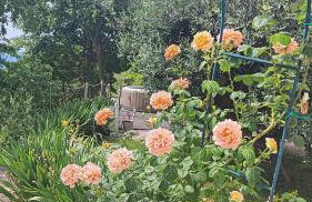 Amazing STUDIO CASA FERMEGLIA with private jacuzzie and perfect panoramic view - Foto 18