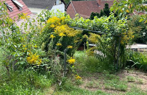 Haus Marta - Photo 62