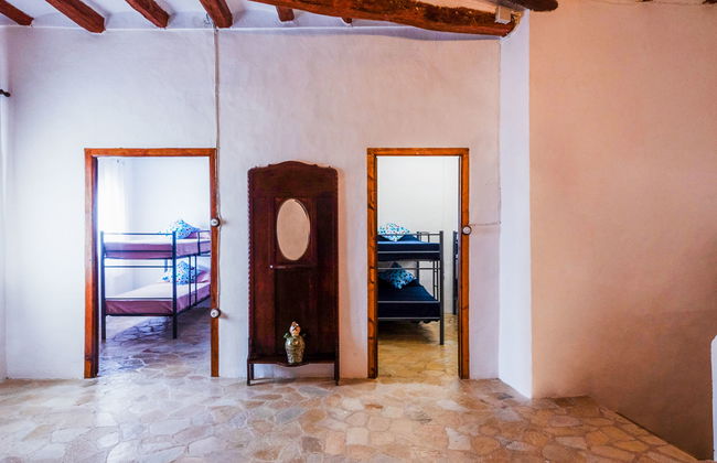 Mas d´en Tarres - Foto 12