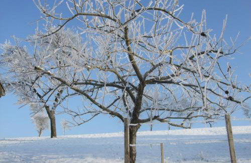 Ferienwohnung Bockelt - Foto 9