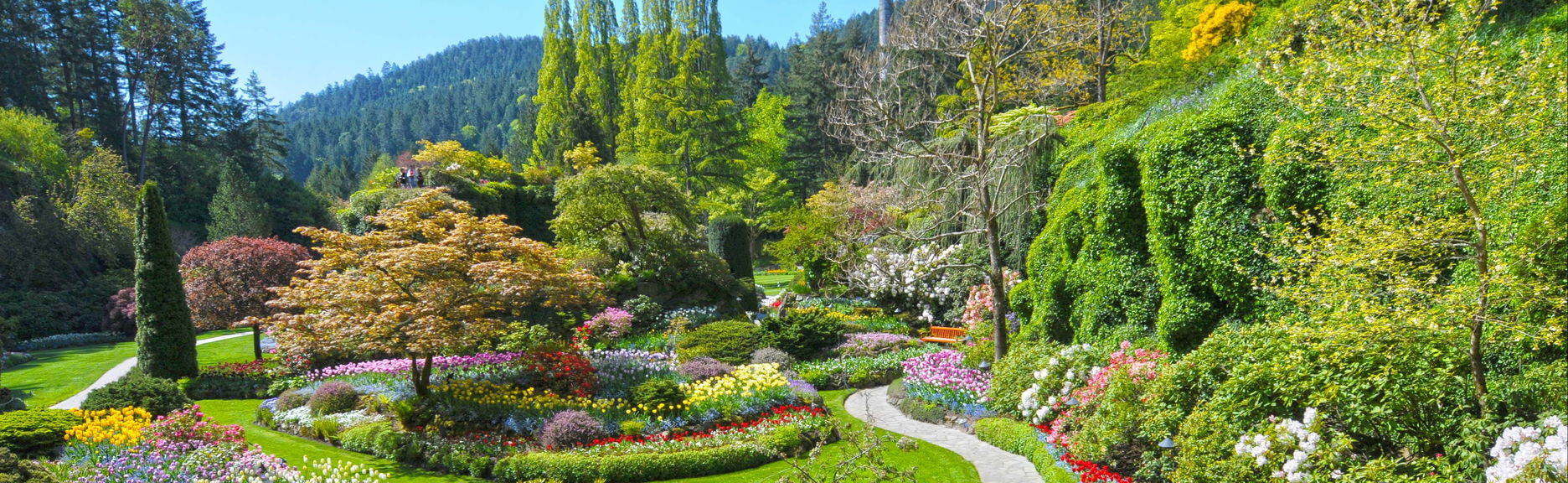 Excursión privada desde Vancouver - Foto 1